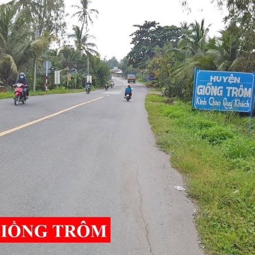 Thiết kế website tại huyện Giồng Trôm tỉnh Bến Tre